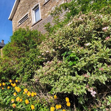 Le Revella Bed and Breakfast Profondeville Buitenkant foto